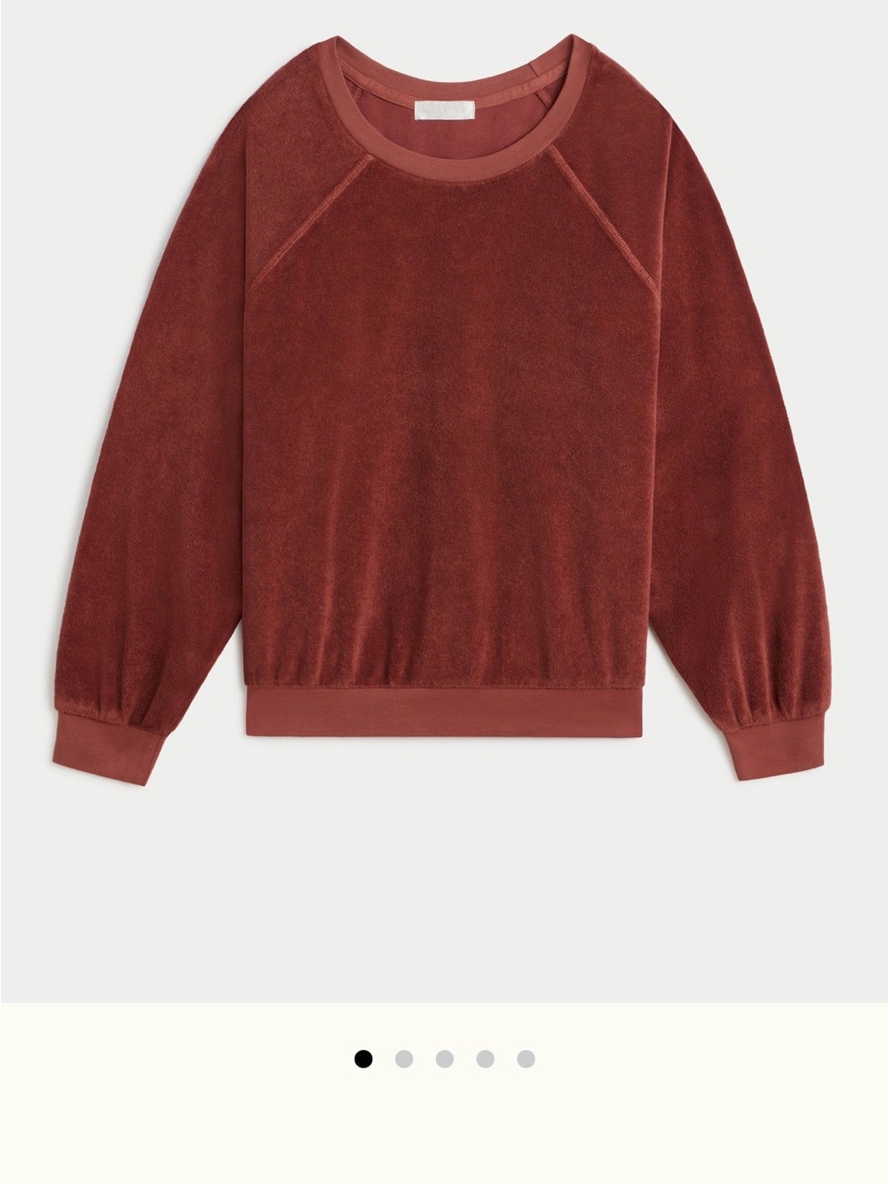 Suzi Kondi Terracotta Terry Crewneck Sweatshirt
